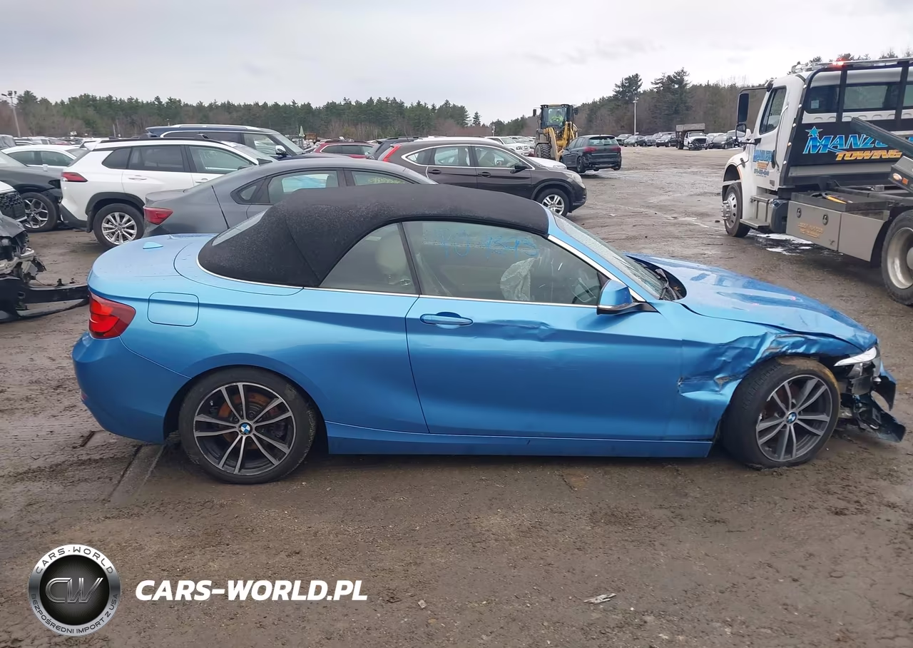 2020 BMW 230I xDrive VIN:WBA2K1C03L7F02047 - 13