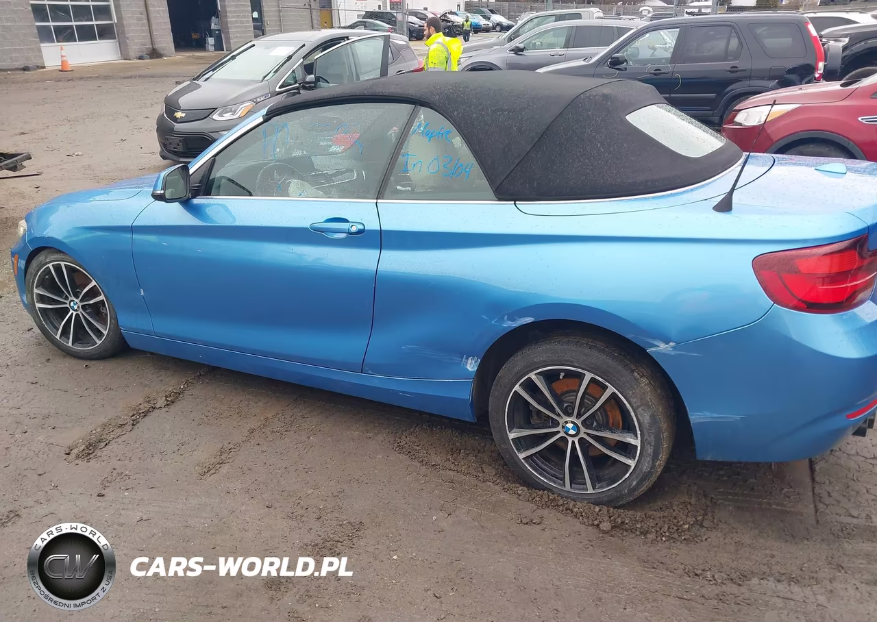 2020 BMW 230I xDrive VIN:WBA2K1C03L7F02047 - 14