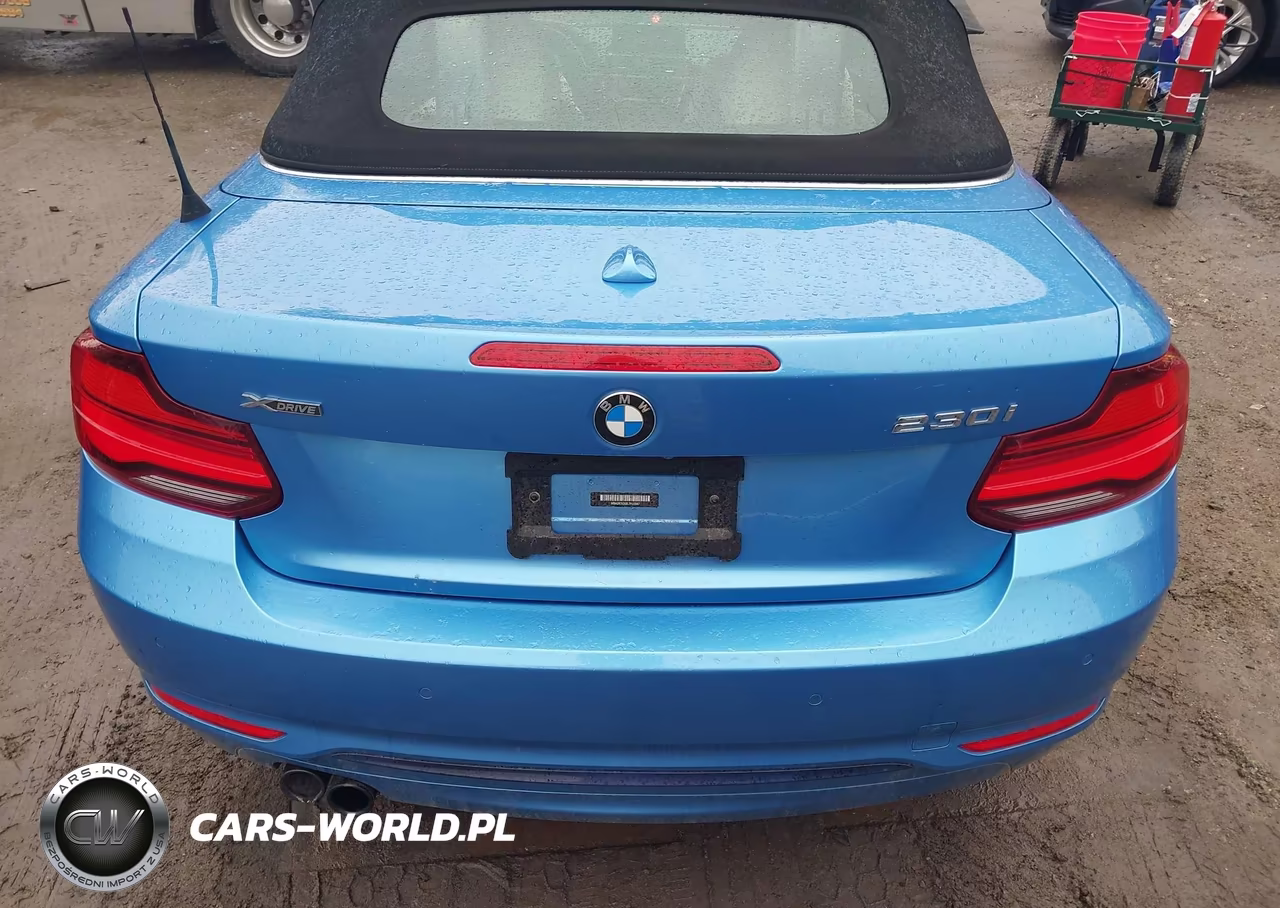 2020 BMW 230I xDrive VIN:WBA2K1C03L7F02047 - 16