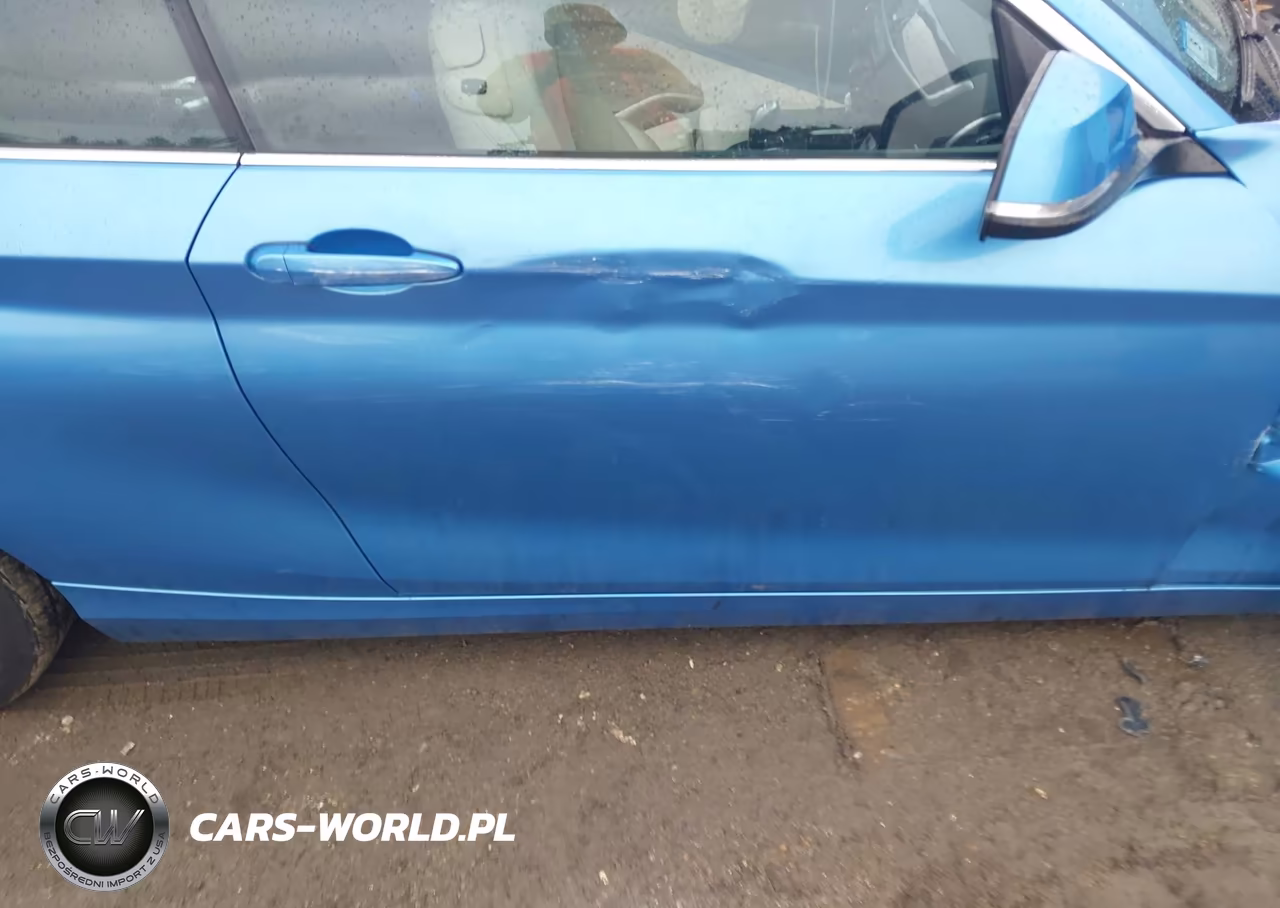 2020 BMW 230I xDrive VIN:WBA2K1C03L7F02047 - 17