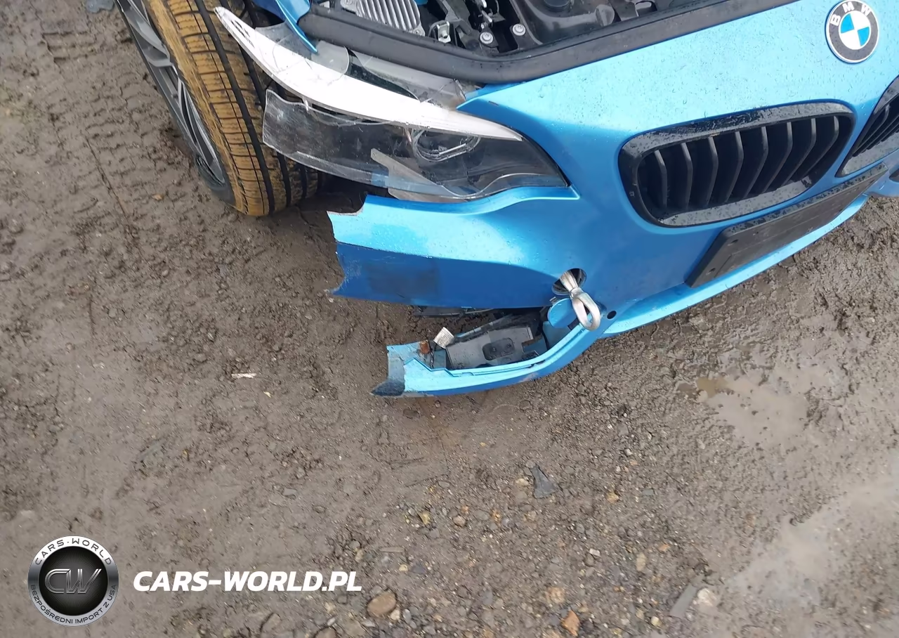 2020 BMW 230I xDrive VIN:WBA2K1C03L7F02047 - 19