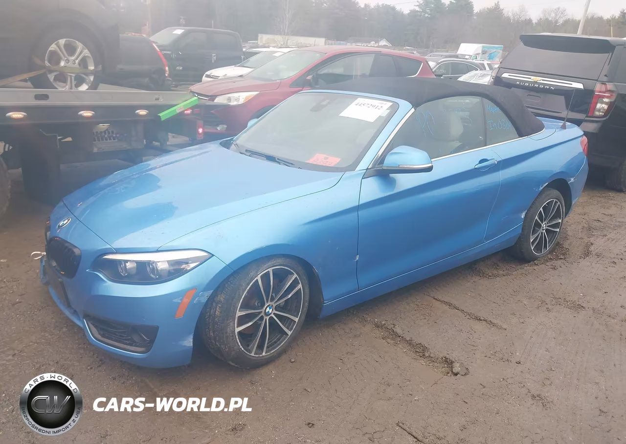 2020 BMW 230I xDrive VIN:WBA2K1C03L7F02047 - 2