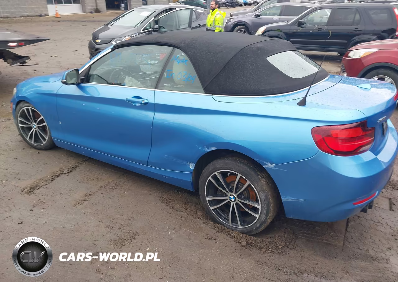 2020 BMW 230I xDrive VIN:WBA2K1C03L7F02047 - 3