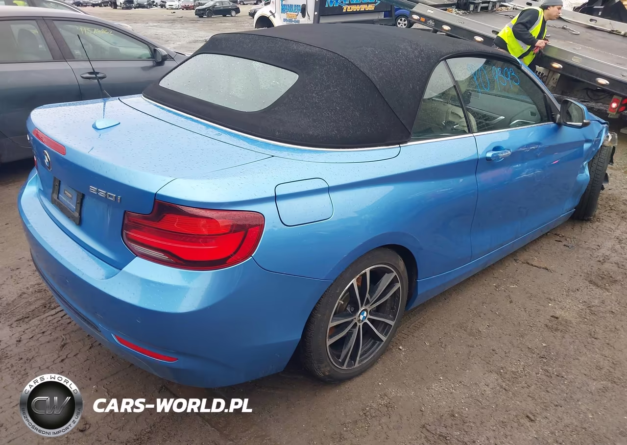 2020 BMW 230I xDrive VIN:WBA2K1C03L7F02047 - 4