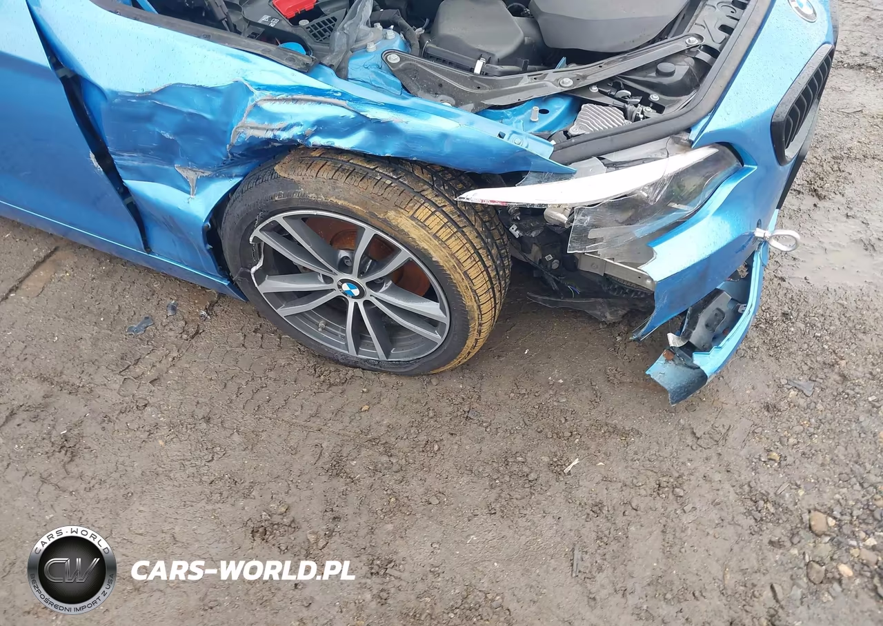 2020 BMW 230I xDrive VIN:WBA2K1C03L7F02047 - 6