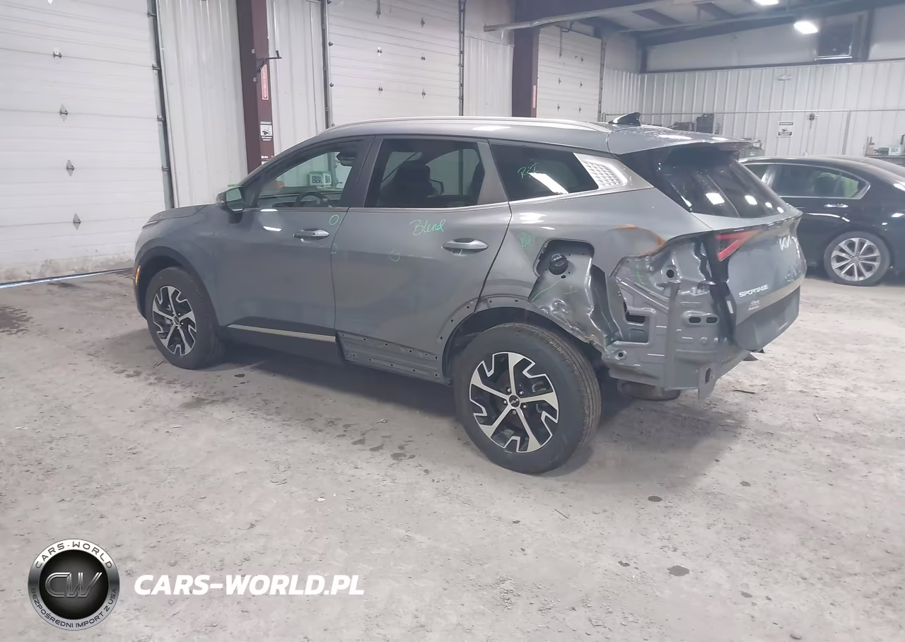 2023 Kia Sportage Ex VIN:5XYK3CAF4PG133420 - 3