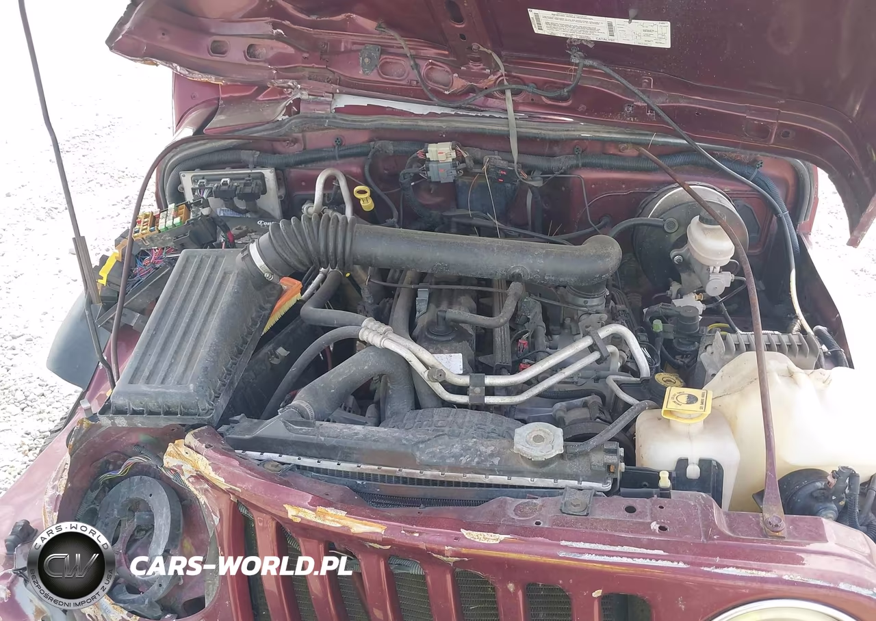 2003 Jeep Wrangler Sport VIN:1J4FA49S03P337275 - 10