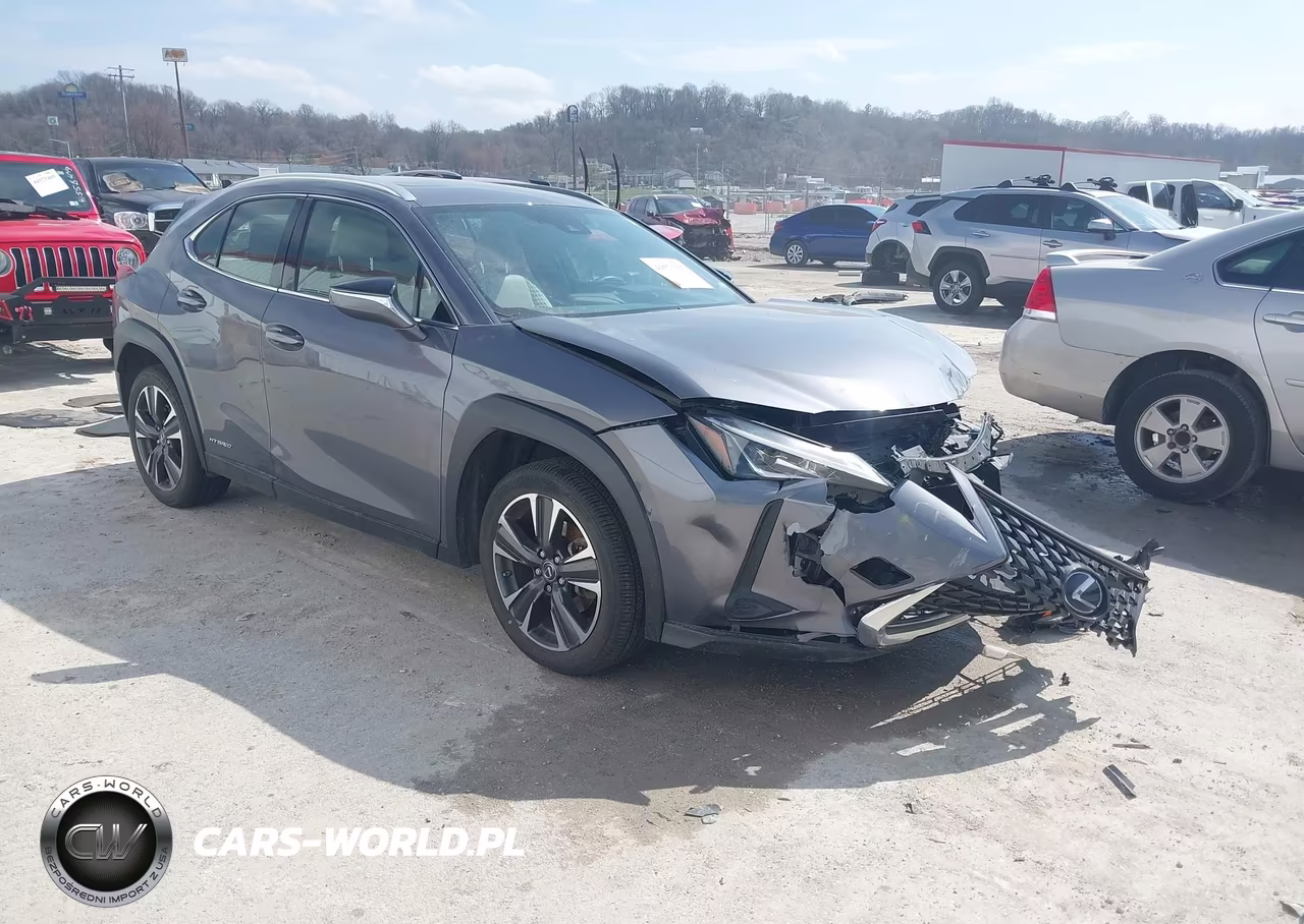 2019 Lexus Ux 250H