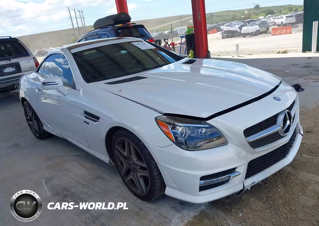 2014 Mercedes-Benz Slk 250