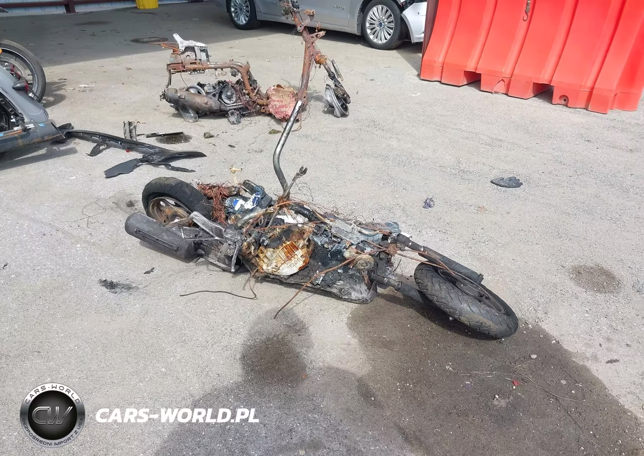 2009 Honda Chf50 S