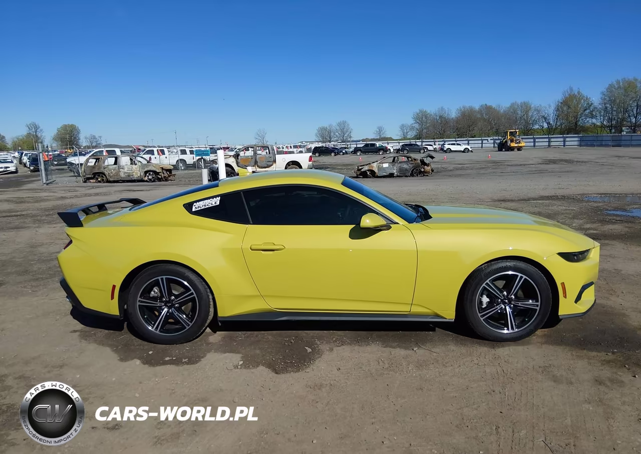 2025 Ford Mustang Ecoboost Fastback VIN:1FA6P8TH6S5131368 - 14