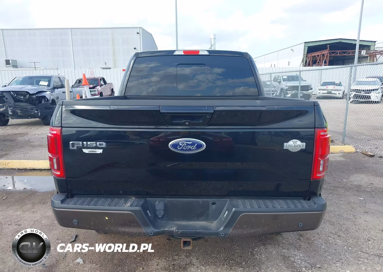 2016 Ford F-150 King Ranch VIN:1FTEW1CG4GFA53715 - 17