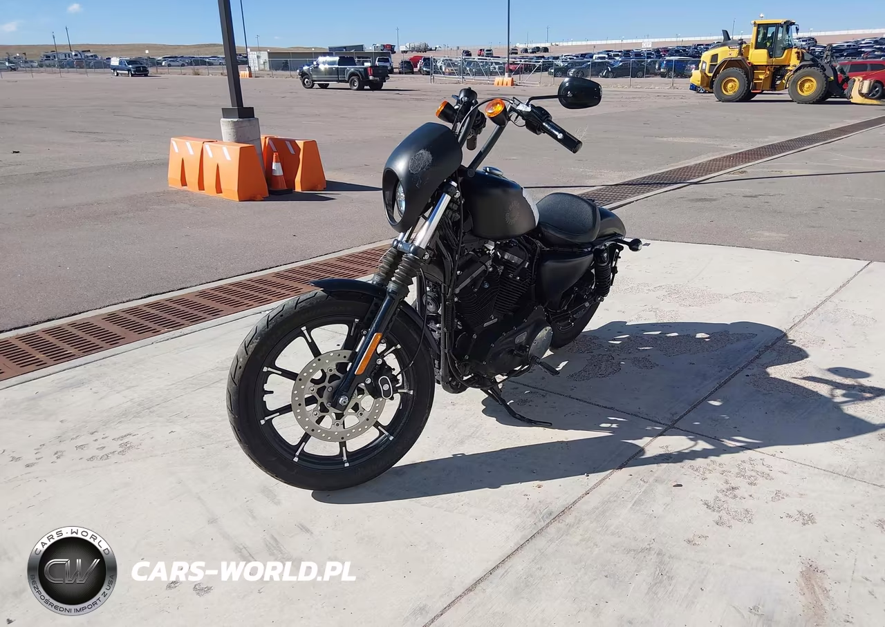 2020 Harley-Davidson Xl883 N VIN:1HD4LE216LB423491 - 2