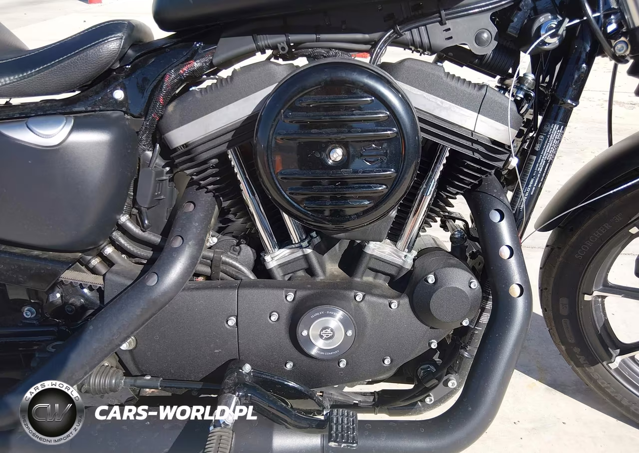 2020 Harley-Davidson Xl883 N VIN:1HD4LE216LB423491 - 8