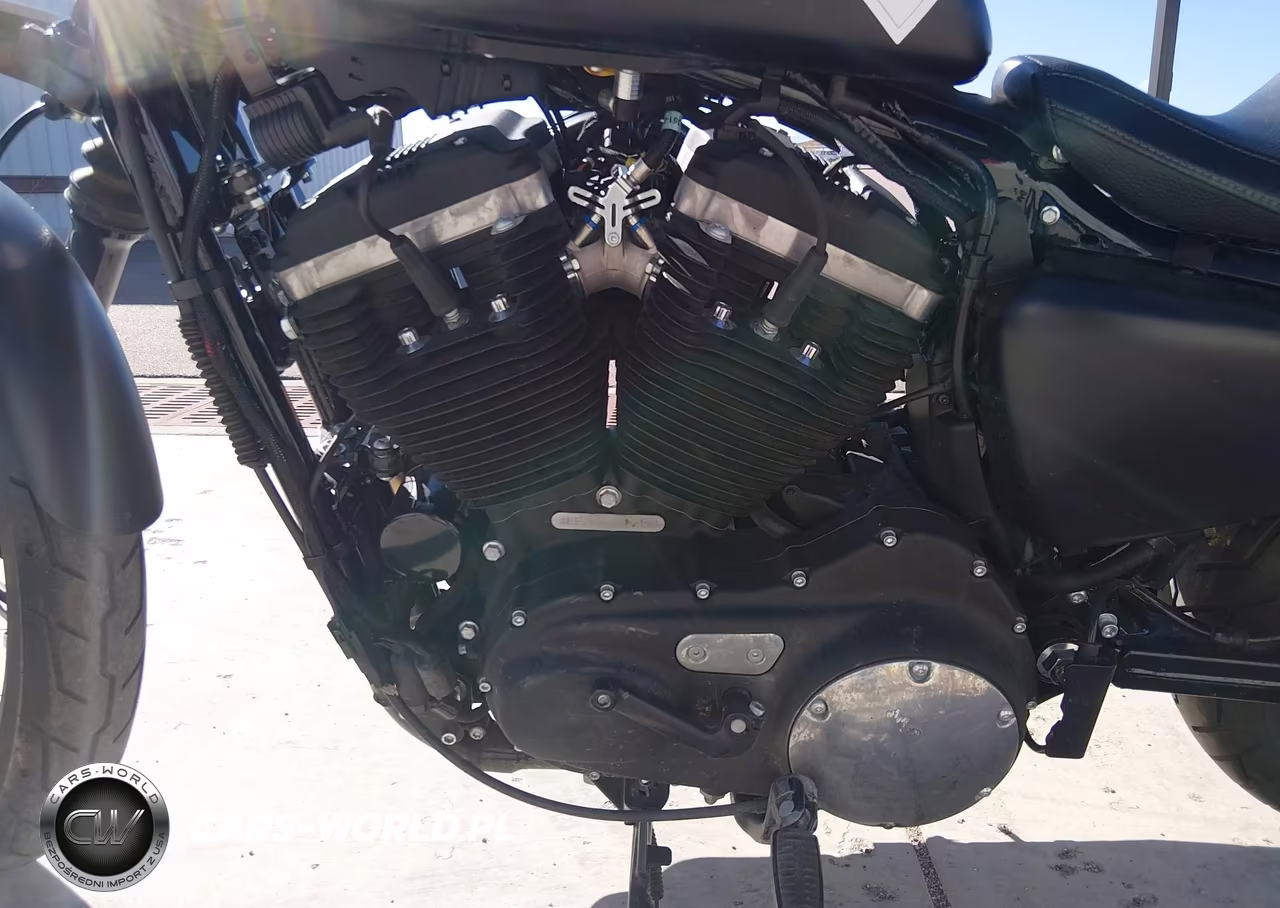2020 Harley-Davidson Xl883 N VIN:1HD4LE216LB423491 - 9