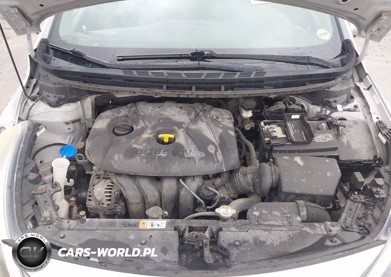 2016 Kia Forte Lx VIN:KNAFK4A6XG5445175 - 10