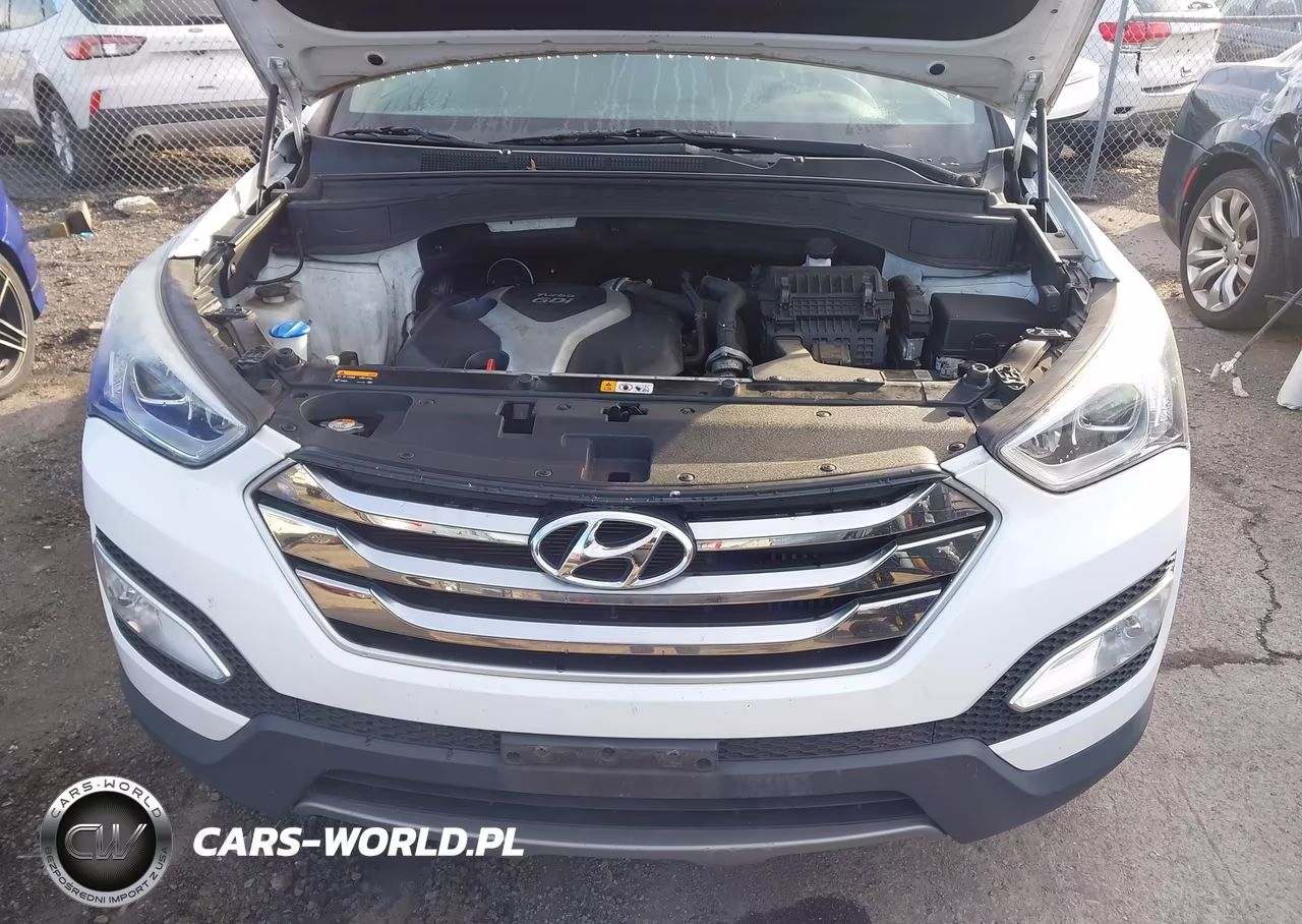 2015 Hyundai Santa Fe Sport 2.0L Turbo VIN:5XYZUDLA6FG299617 - 6