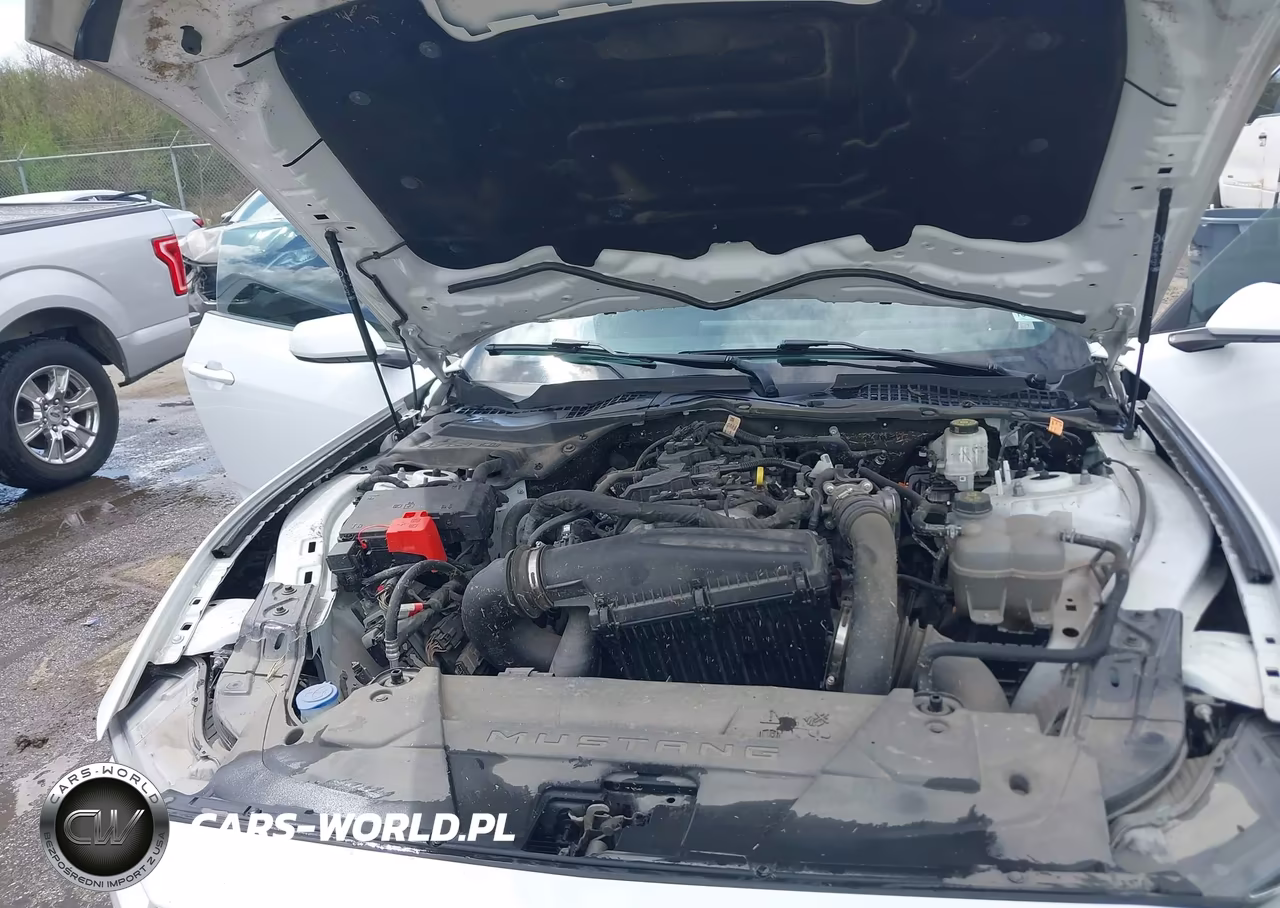 2024 Ford Mustang Ecoboost Fastback VIN:1FA6P8TH1R5107263 - 10
