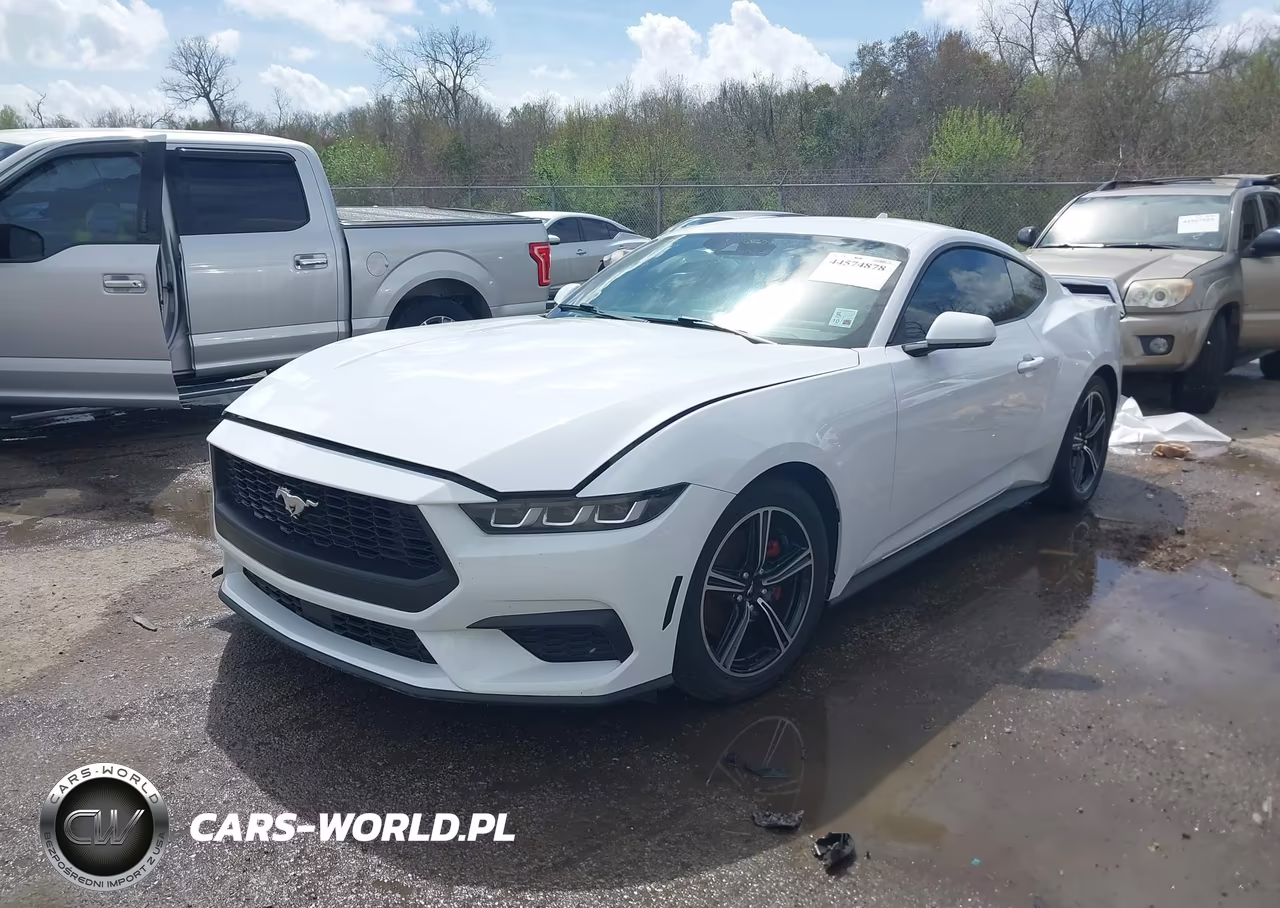 2024 Ford Mustang Ecoboost Fastback VIN:1FA6P8TH1R5107263 - 2