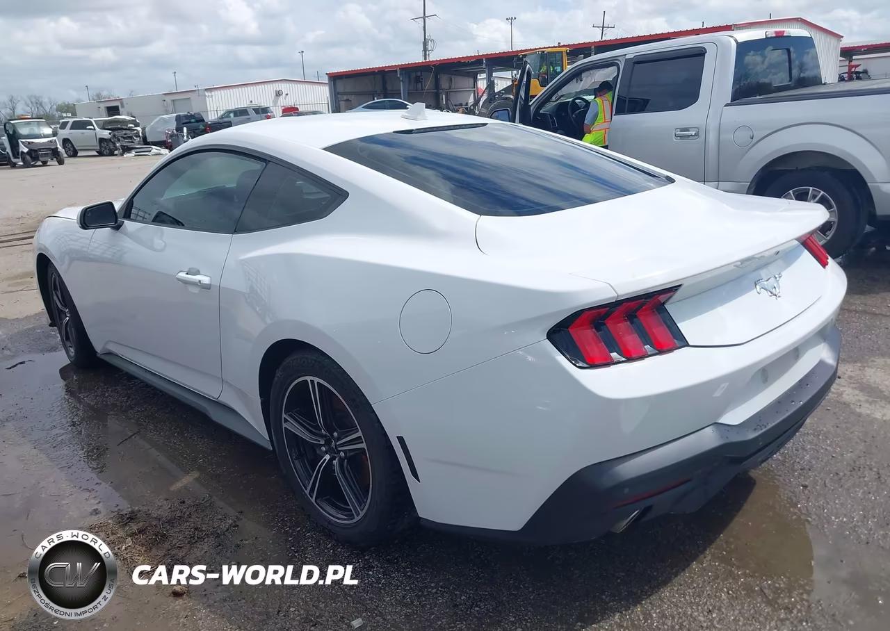 2024 Ford Mustang Ecoboost Fastback VIN:1FA6P8TH1R5107263 - 3