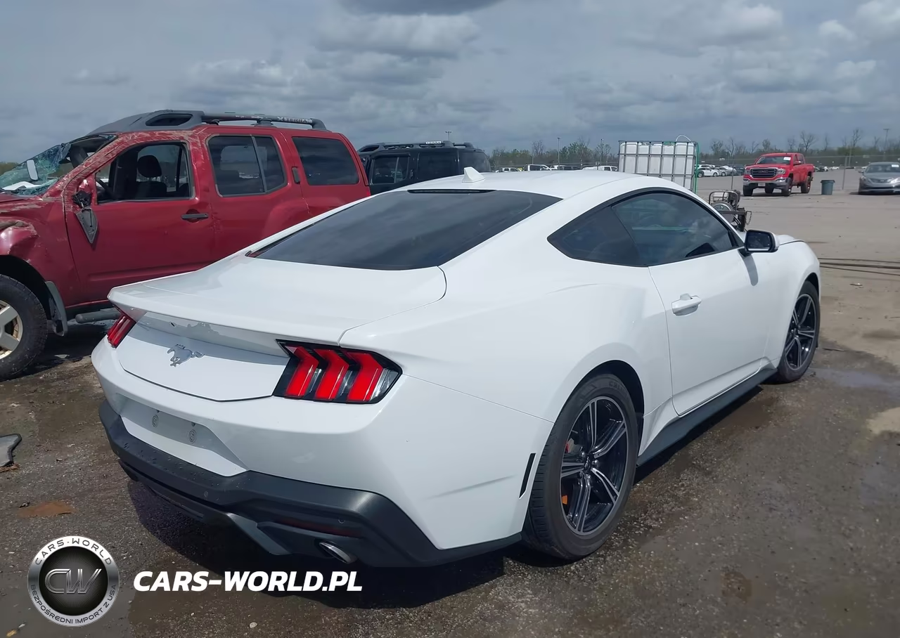 2024 Ford Mustang Ecoboost Fastback VIN:1FA6P8TH1R5107263 - 4