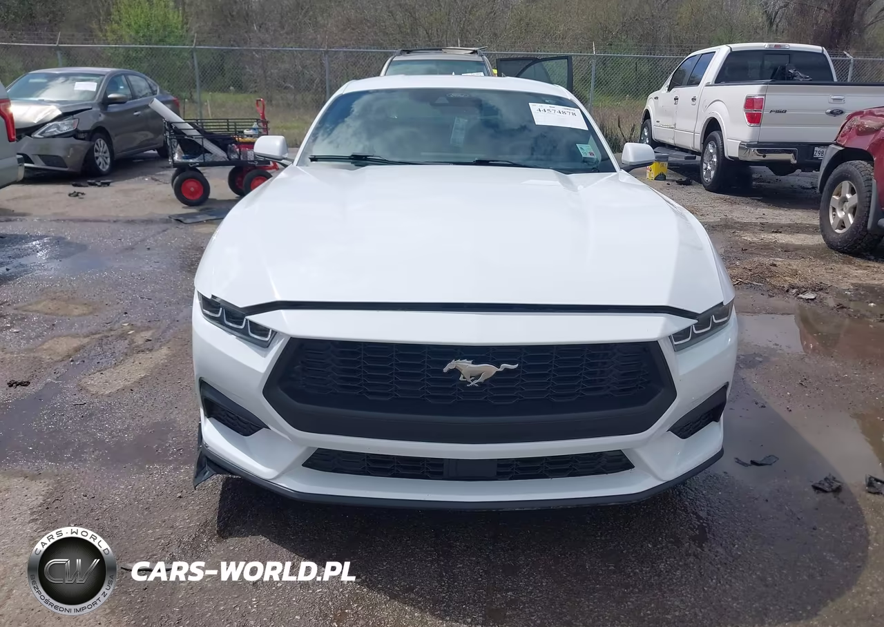 2024 Ford Mustang Ecoboost Fastback VIN:1FA6P8TH1R5107263 - 6