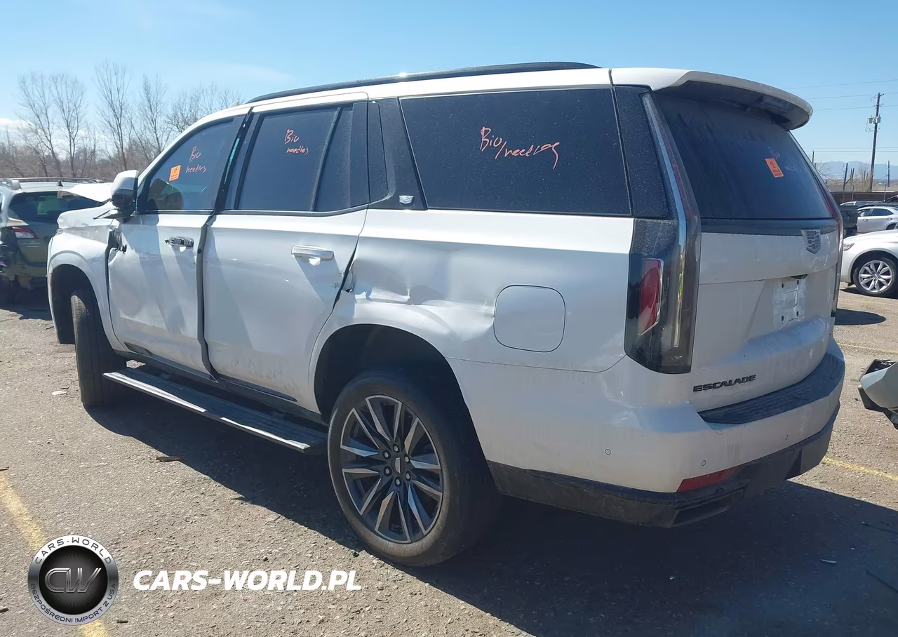 2021 Cadillac Escalade 4Wd Sport Platinum VIN:1GYS4GKL2MR368382 - 3