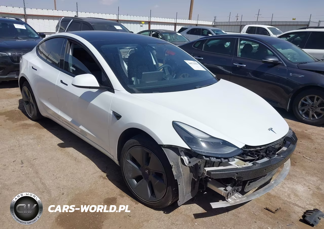 2021 Tesla Model 3 Long Range Dual Motor All-Wheel Drive