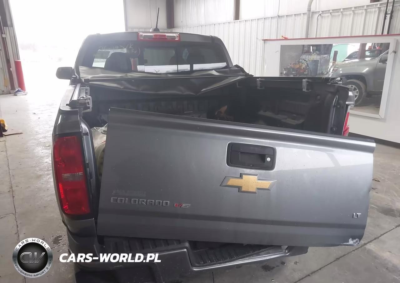 2020 Chevrolet Colorado 4Wd Short Box Lt VIN:1GCGTCEN1L1114504 - 17