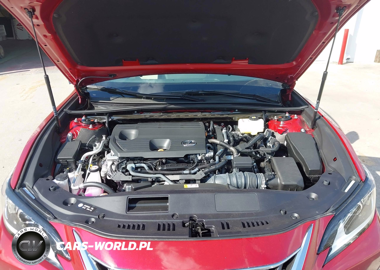 2025 Lexus Es 300H VIN:58ADA1C16SU065346 - 10