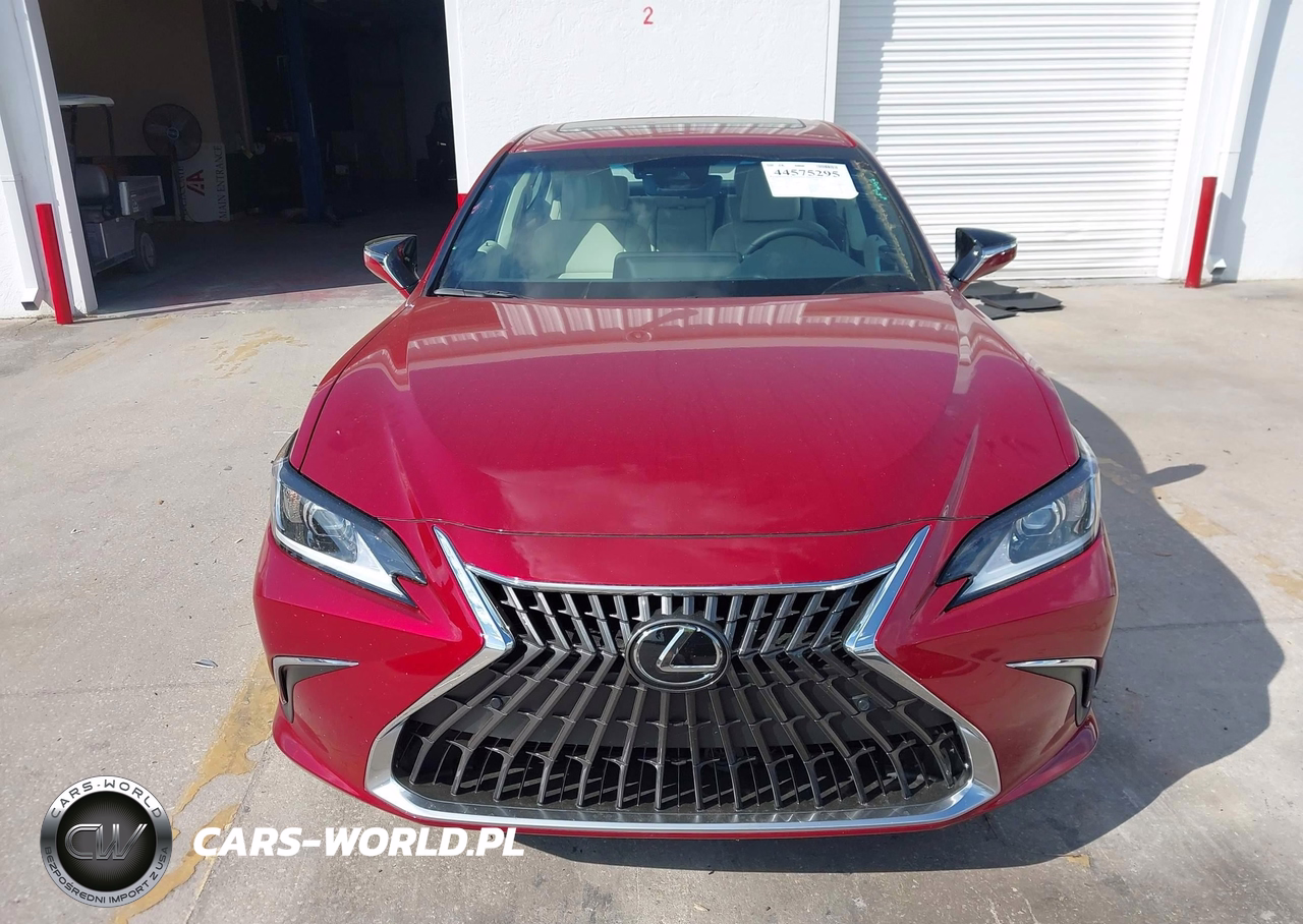 2025 Lexus Es 300H VIN:58ADA1C16SU065346 - 12