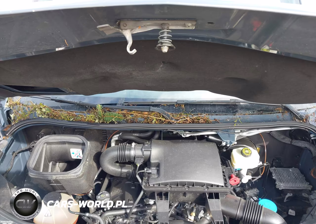 2019 Mercedes-Benz Sprinter 2500 Standard Roof V6 VIN:WD4PF0CD4KP065770 - 10