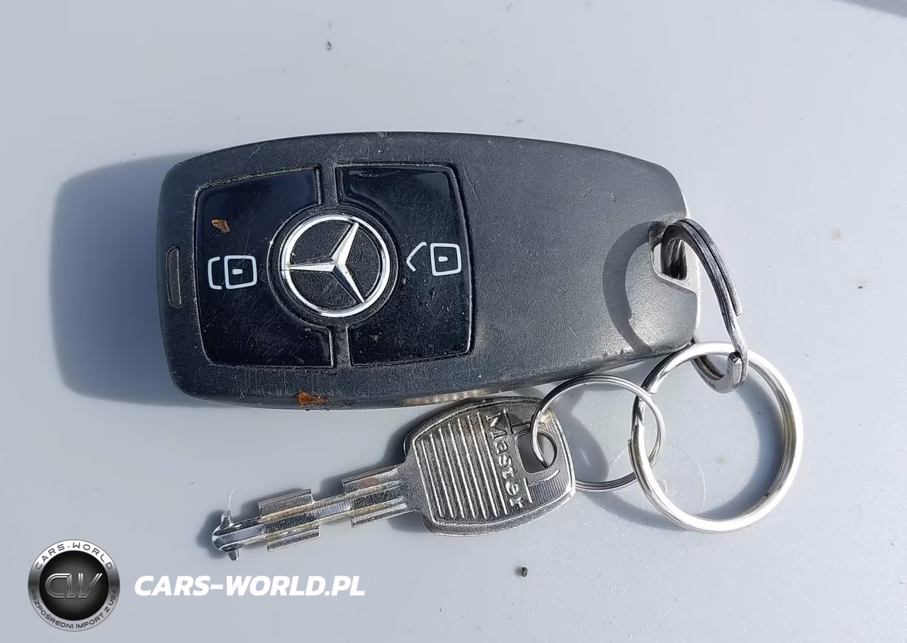2019 Mercedes-Benz Sprinter 2500 Standard Roof V6 VIN:WD4PF0CD4KP065770 - 11