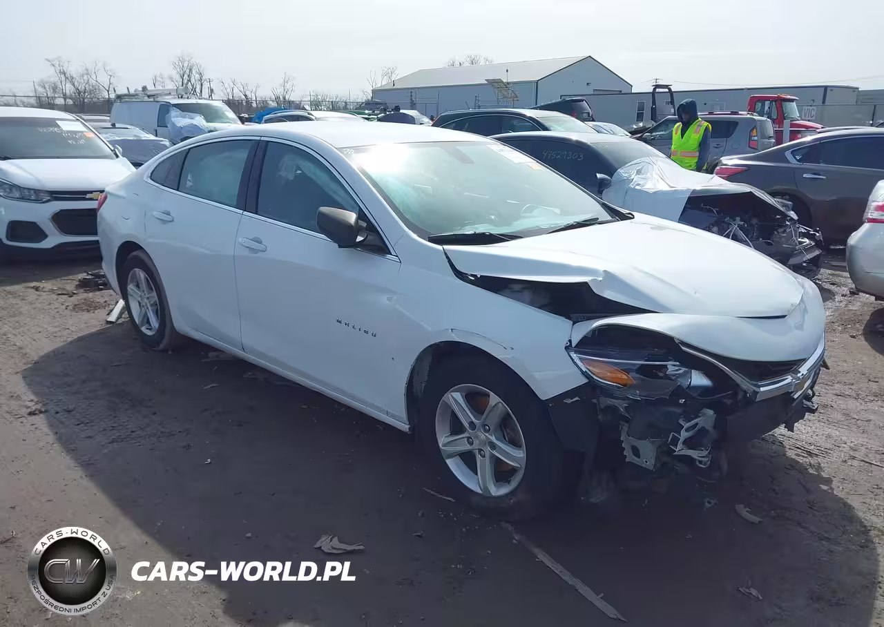 2019 Chevrolet Malibu 1Fl