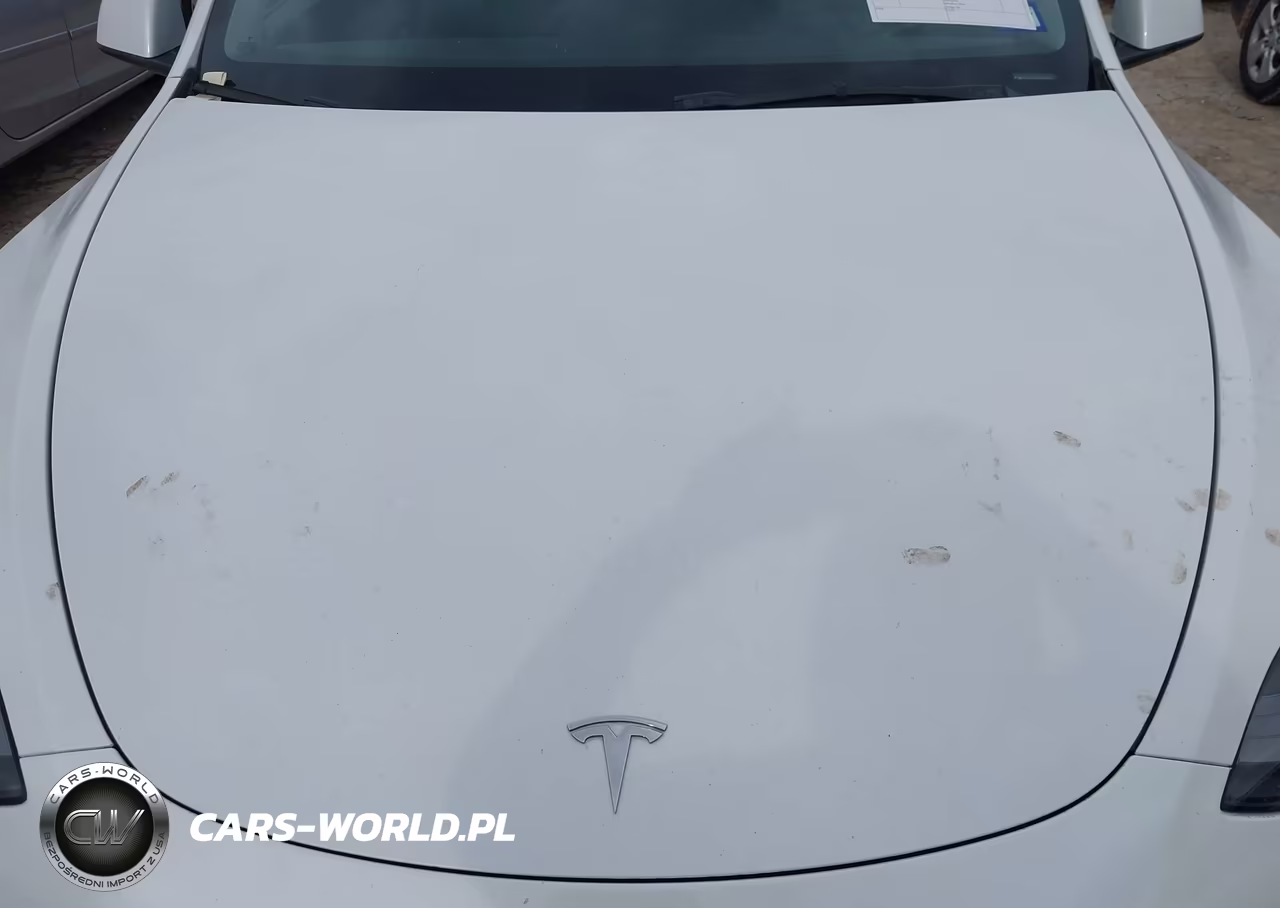 2022 Tesla Model Y Performance Dual Motor All-Wheel Drive VIN:7SAYGDEF4NF538070 - 10