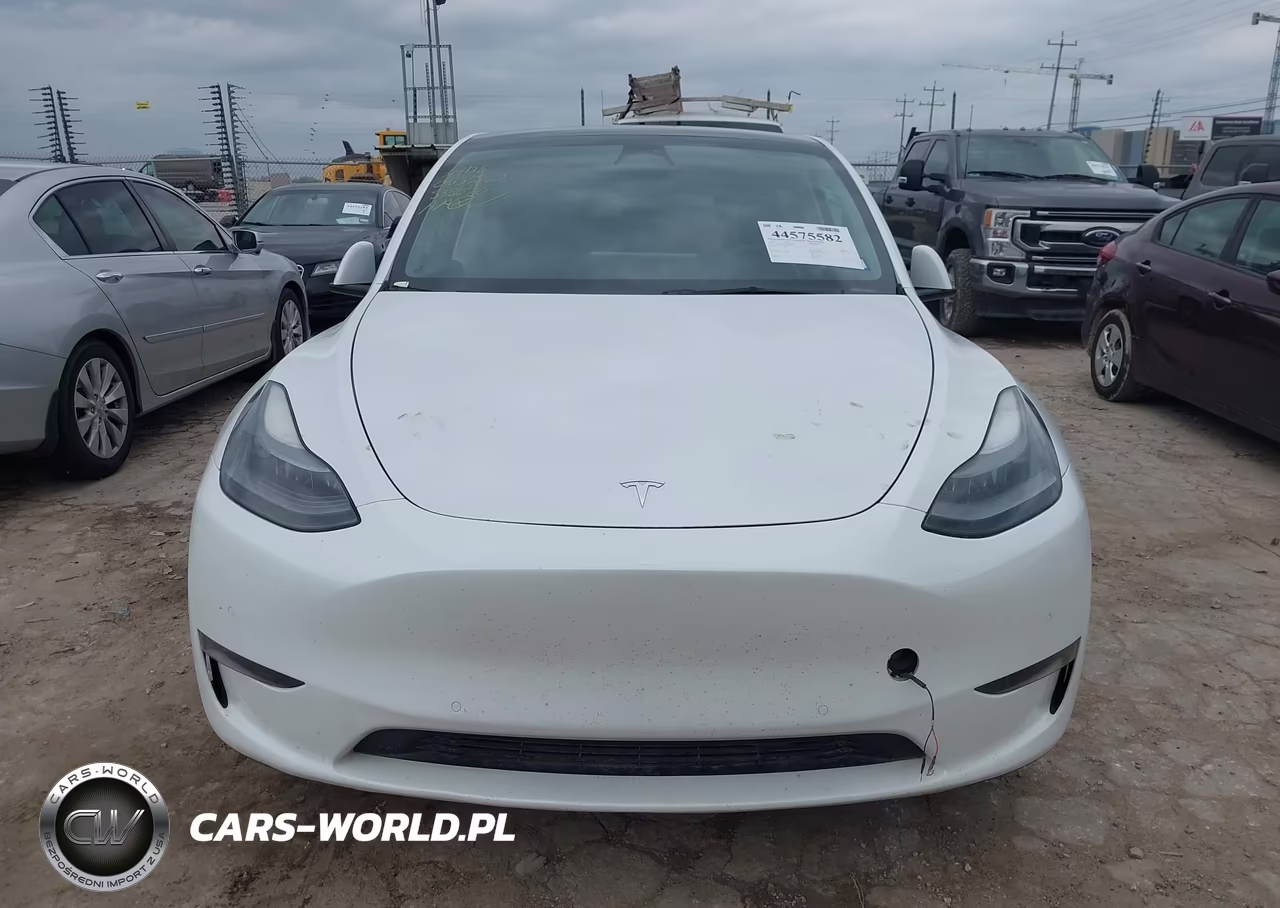 2022 Tesla Model Y Performance Dual Motor All-Wheel Drive VIN:7SAYGDEF4NF538070 - 11