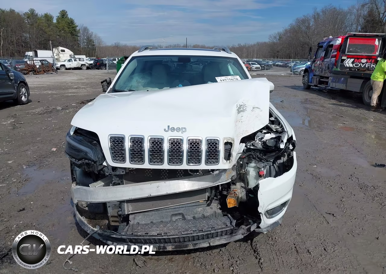 2019 Jeep Cherokee Limited 4X4 VIN:1C4PJMDX0KD223516 - 11
