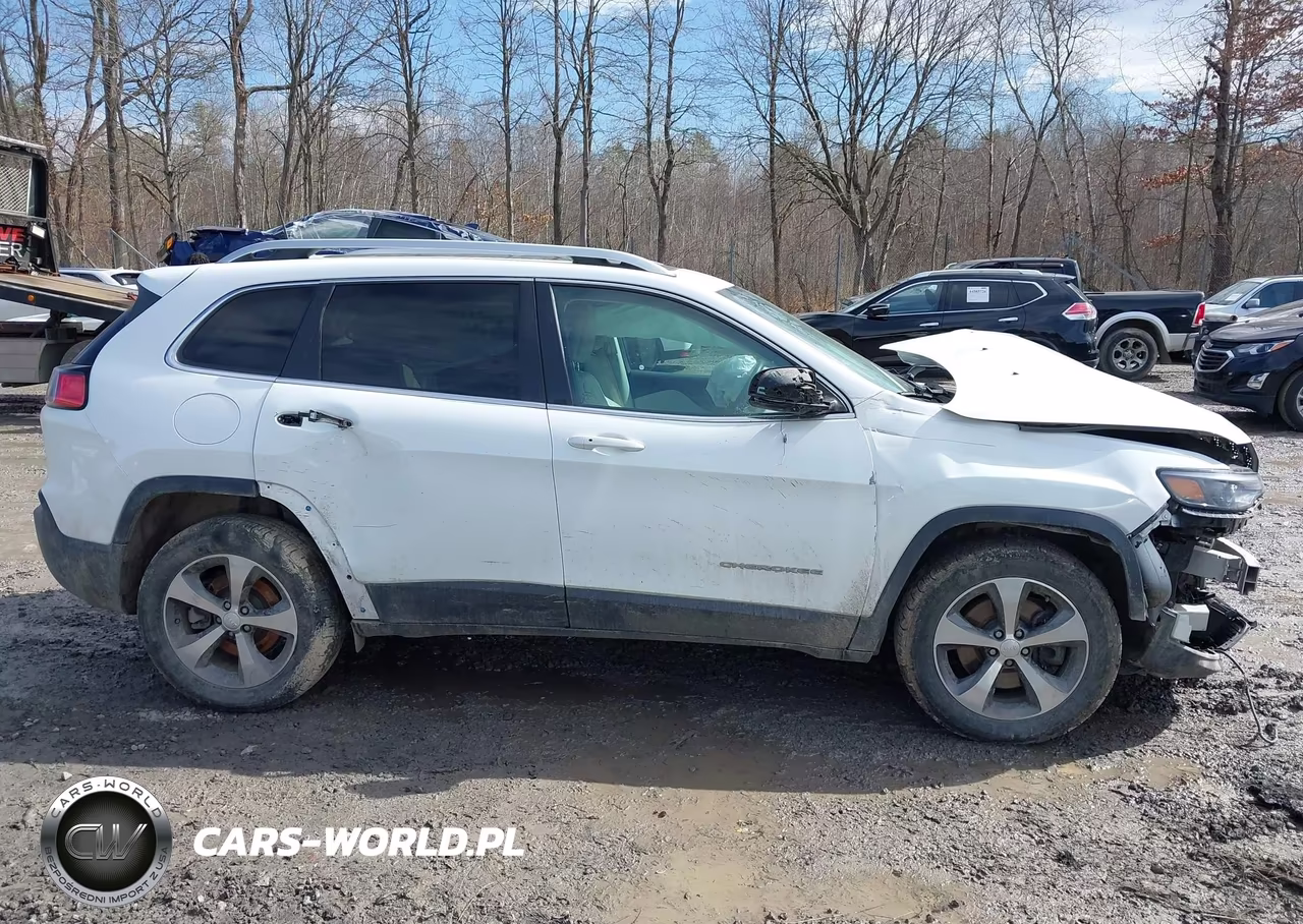 2019 Jeep Cherokee Limited 4X4 VIN:1C4PJMDX0KD223516 - 12