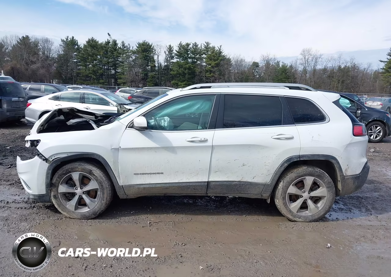 2019 Jeep Cherokee Limited 4X4 VIN:1C4PJMDX0KD223516 - 13