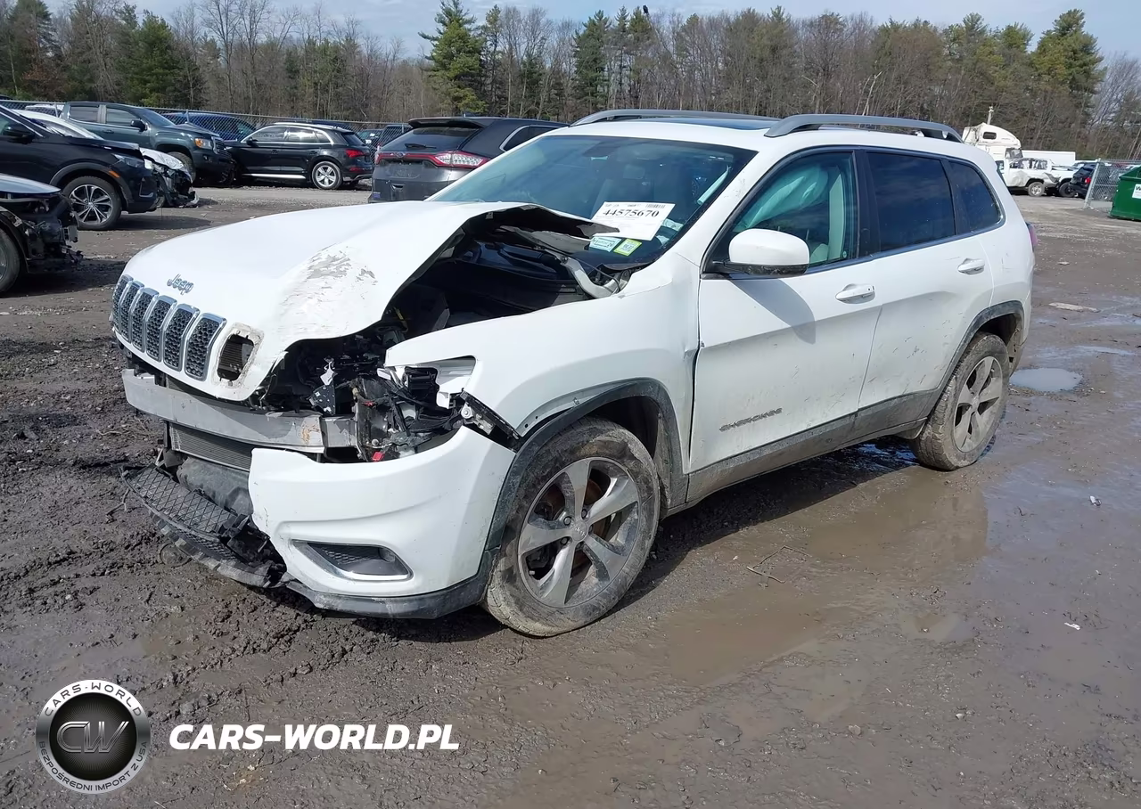 2019 Jeep Cherokee Limited 4X4 VIN:1C4PJMDX0KD223516 - 2