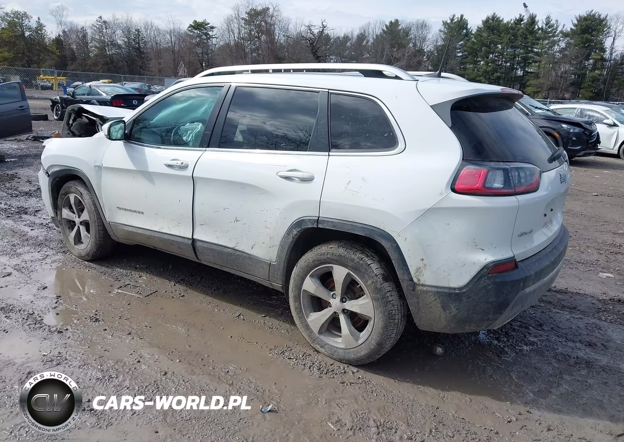 2019 Jeep Cherokee Limited 4X4 VIN:1C4PJMDX0KD223516 - 3