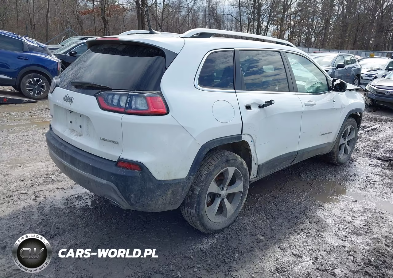 2019 Jeep Cherokee Limited 4X4 VIN:1C4PJMDX0KD223516 - 4