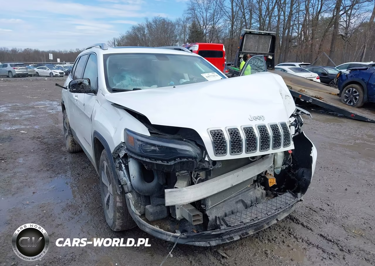 2019 Jeep Cherokee Limited 4X4 VIN:1C4PJMDX0KD223516 - 6