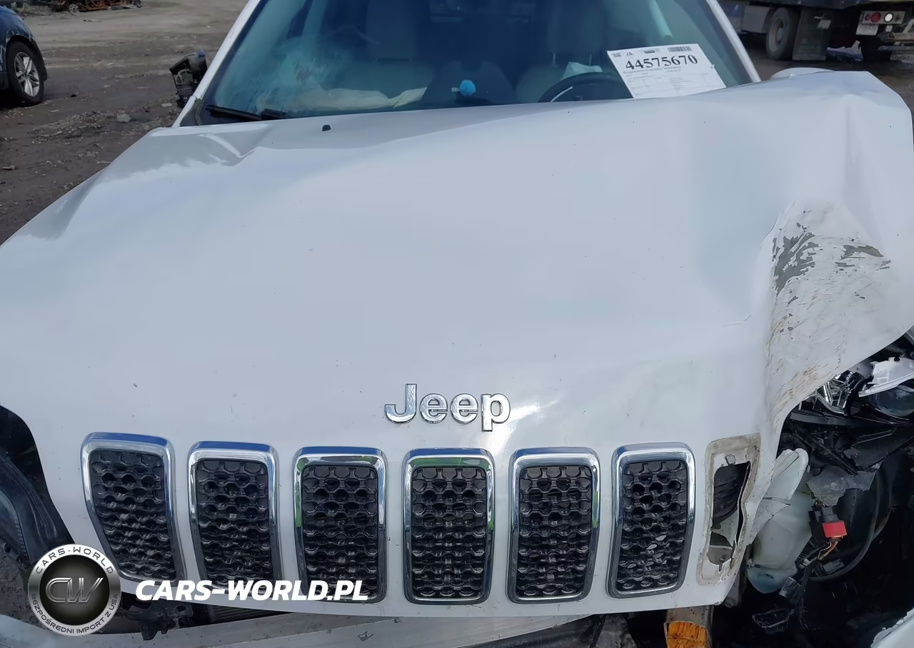2019 Jeep Cherokee Limited 4X4 VIN:1C4PJMDX0KD223516 - 9