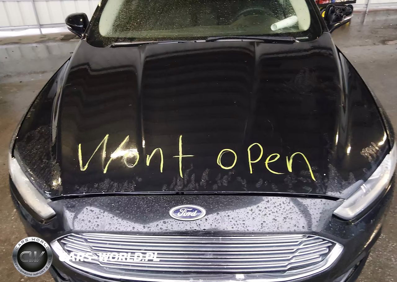 2013 Ford Fusion Se VIN:3FA6P0H77DR247423 - 10