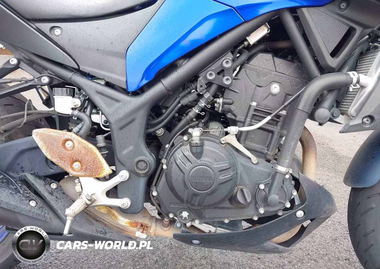2022 Yamaha Mt-03 VIN:MH3RH20Y4NK007340 - 8