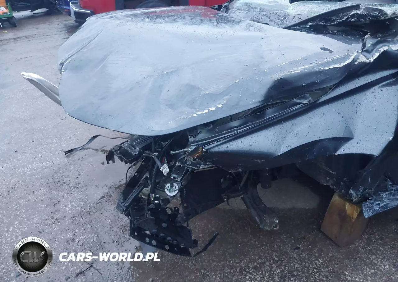 2024 Honda Civic Sport VIN:2HGFE2F55RH552839 - 19