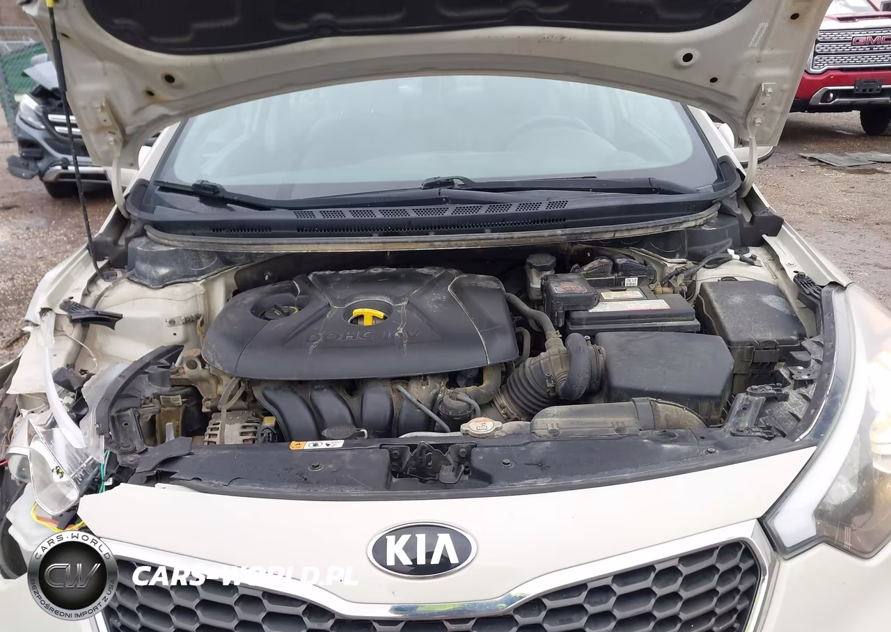 2015 Kia Forte Lx VIN:KNAFK4A64F5259680 - 10