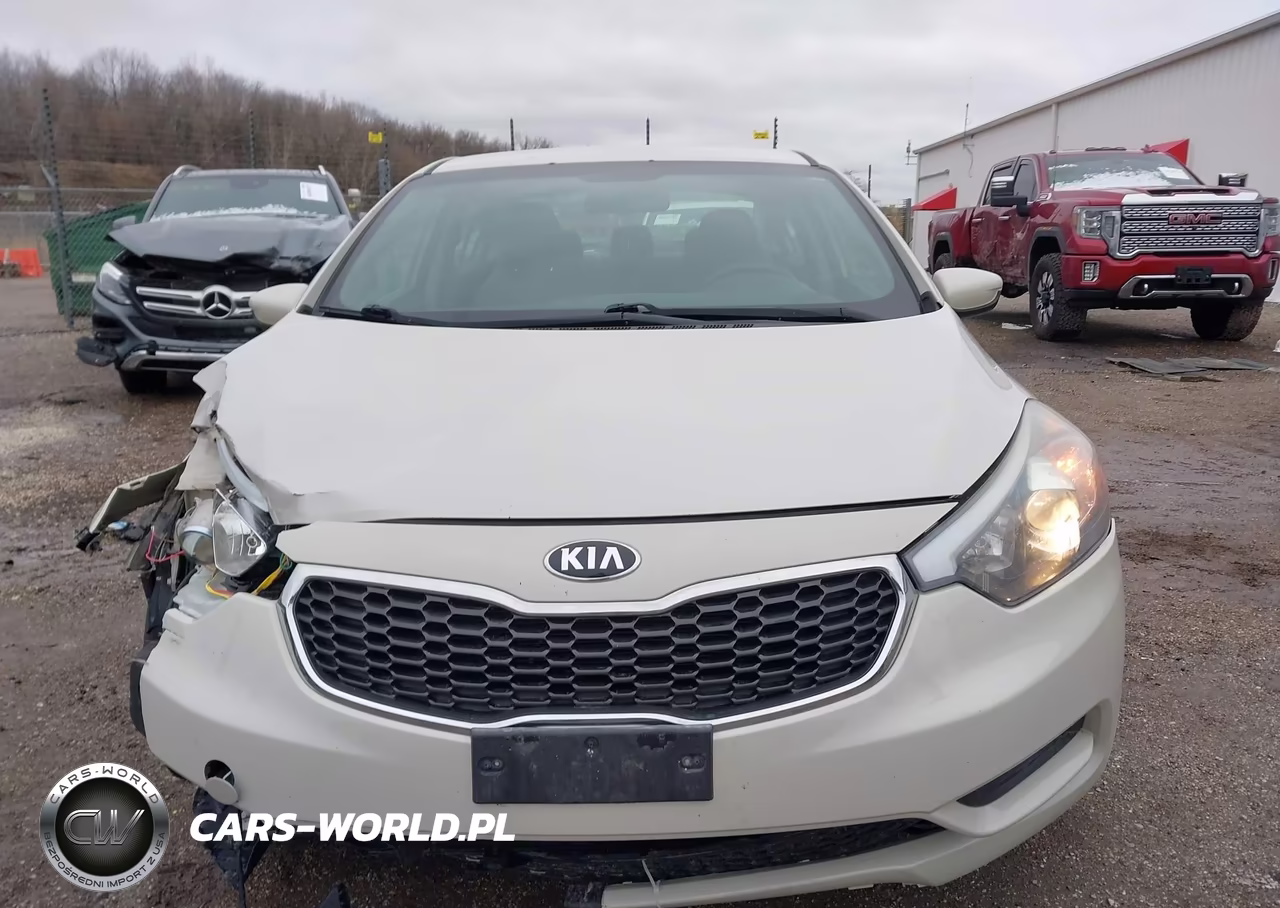 2015 Kia Forte Lx VIN:KNAFK4A64F5259680 - 12