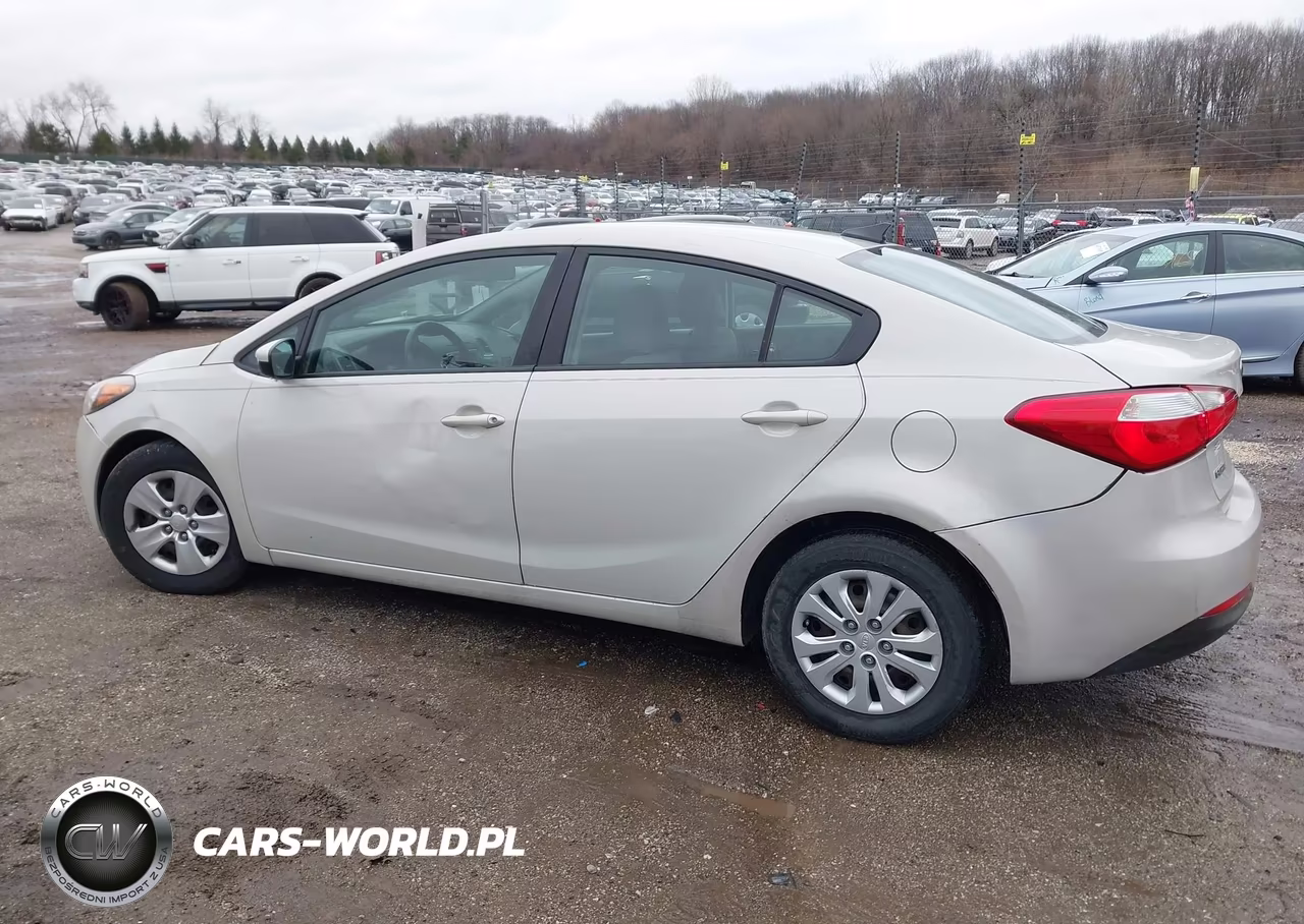 2015 Kia Forte Lx VIN:KNAFK4A64F5259680 - 14